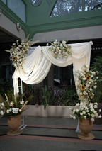 Bows n Blooms Backdrop